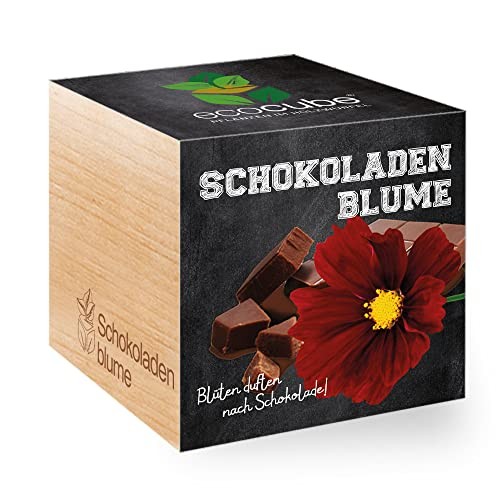 Feel green ecocube - feel,